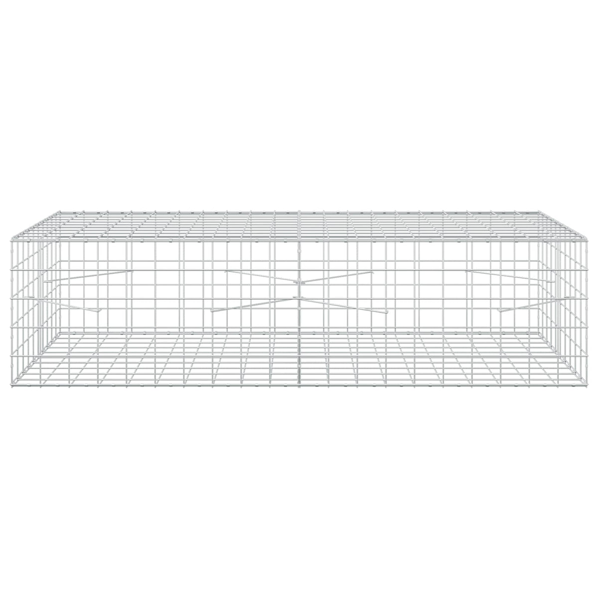 Gabion with 3.5 mm Wire and 10x10 cm Mesh 200x100x50 cm