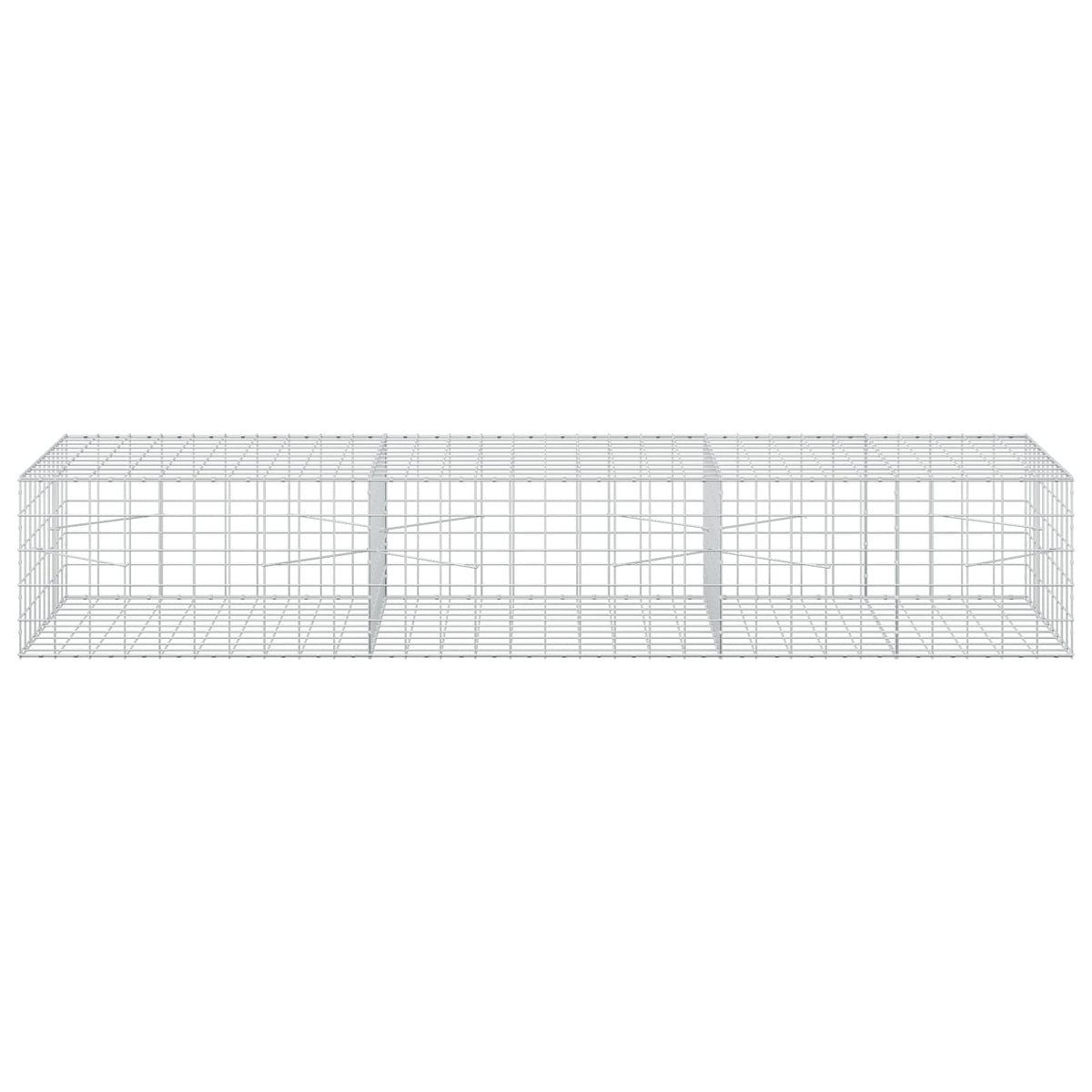 Gabion with 3.5 mm Wire and 10x10 cm Mesh 300x100x50 cm