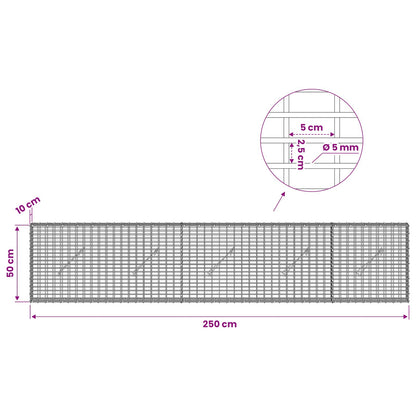 Gabion with 5 mm Wire and 5x2.5 cm Mesh 250x10x50 cm