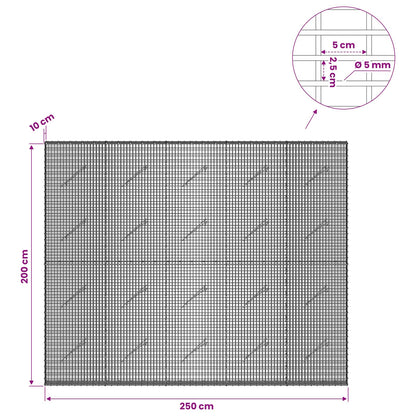 Gabion with 5 mm Wire and 5x2.5 cm Mesh 250x10x200 cm