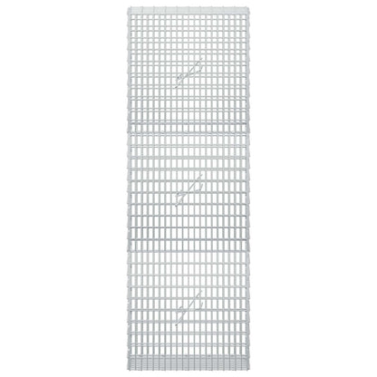 Gabion with 5 mm Wire and 5x2.5 cm Mesh 50x20x150 cm