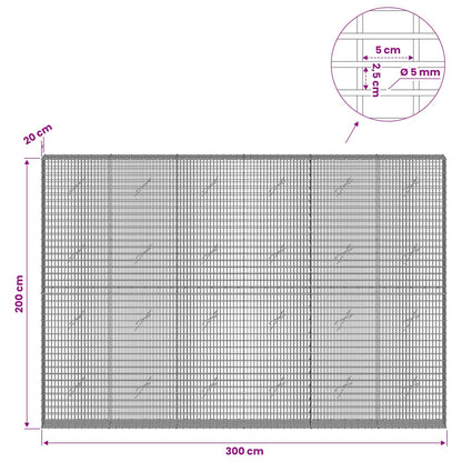 Gabion with 5 mm Wire and 5x2.5 cm Mesh 300x20x200 cm