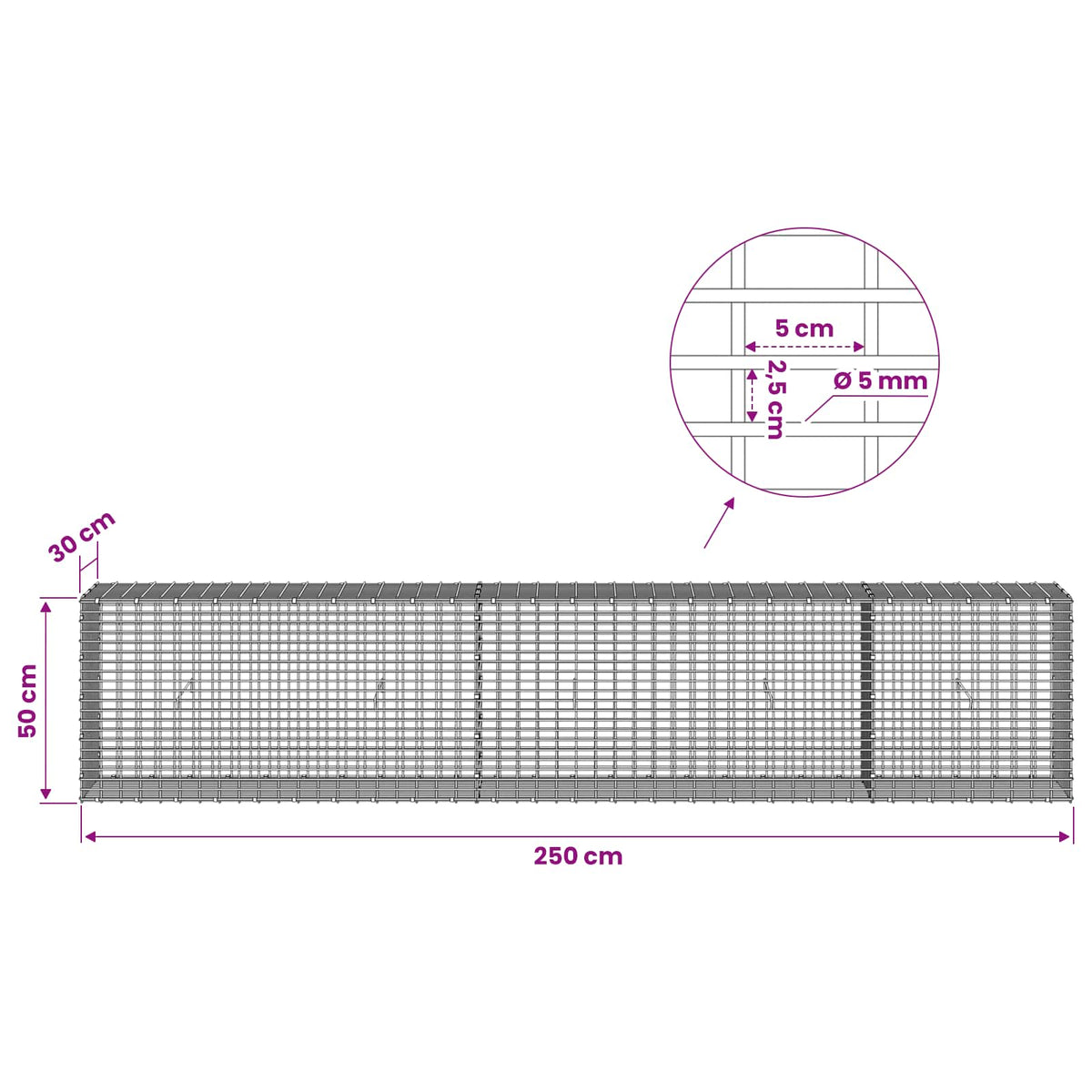 Gabion with 5 mm Wire and 5x2.5 cm Mesh 250x30x50 cm