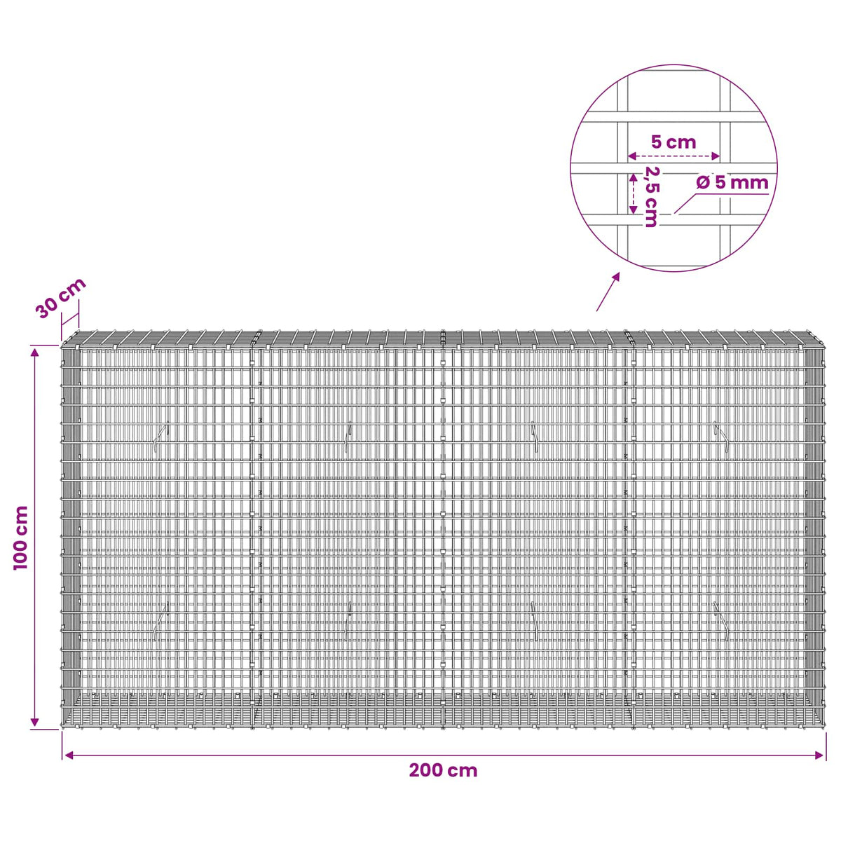 Gabion with 5 mm Wire and 5x2.5 cm Mesh 200x30x100 cm