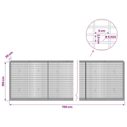 Gabion with 5 mm Wire and 5x2.5 cm Mesh 700x30x100 cm