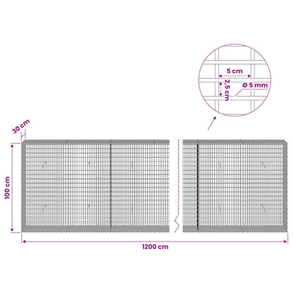 Gabion with 5 mm Wire and 5x2.5 cm Mesh 1200x30x100 cm