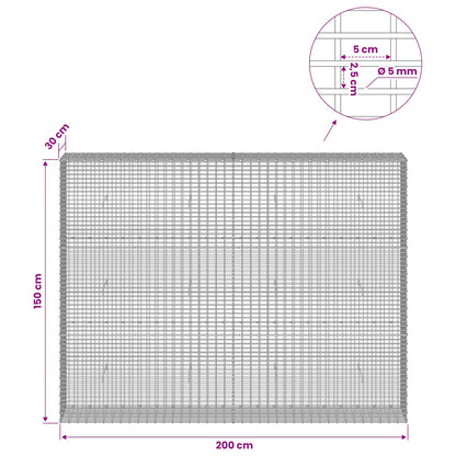 Gabion with 5 mm Wire and 5x2.5 cm Mesh 200x30x150 cm