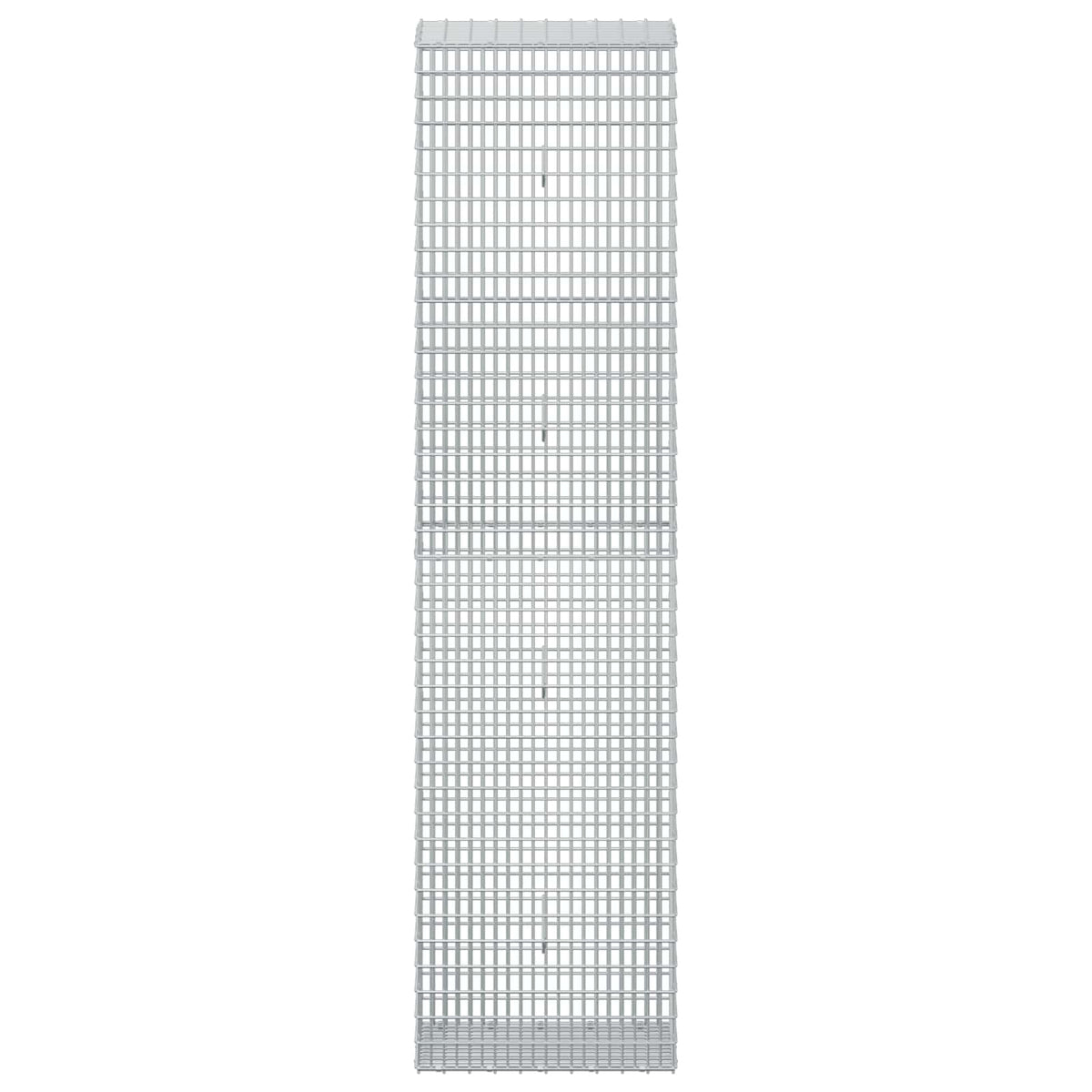 Gabion with 5 mm Wire and 5x2.5 cm Mesh 50x30x200 cm