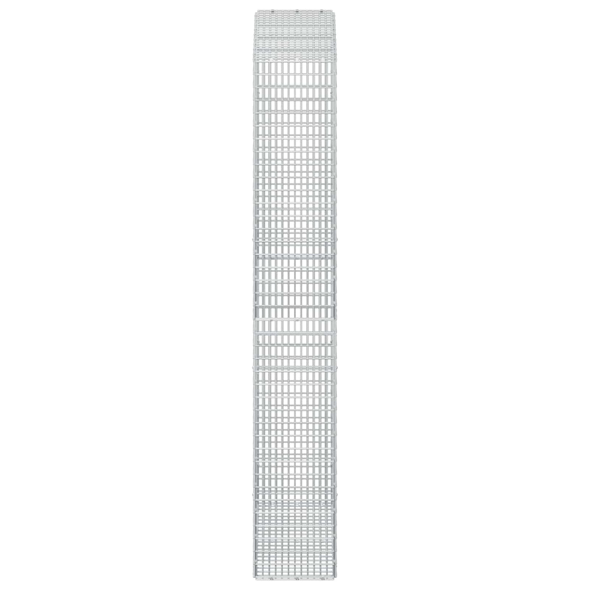 Gabion with 5 mm Wire and 5x2.5 cm Mesh 100x30x200 cm