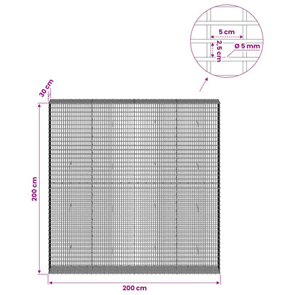 Gabion with 5 mm Wire and 5x2.5 cm Mesh 200x30x200 cm