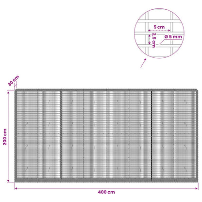 Gabion with 5 mm Wire and 5x2.5 cm Mesh 400x30x200 cm