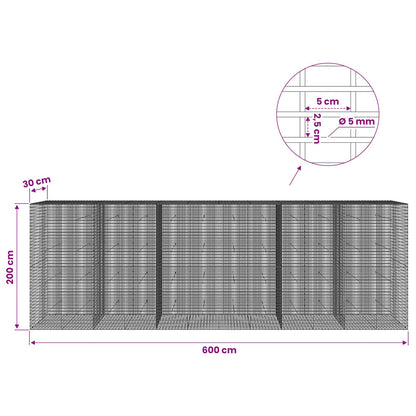 Gabion with 5 mm Wire and 5x2.5 cm Mesh 600x30x200 cm