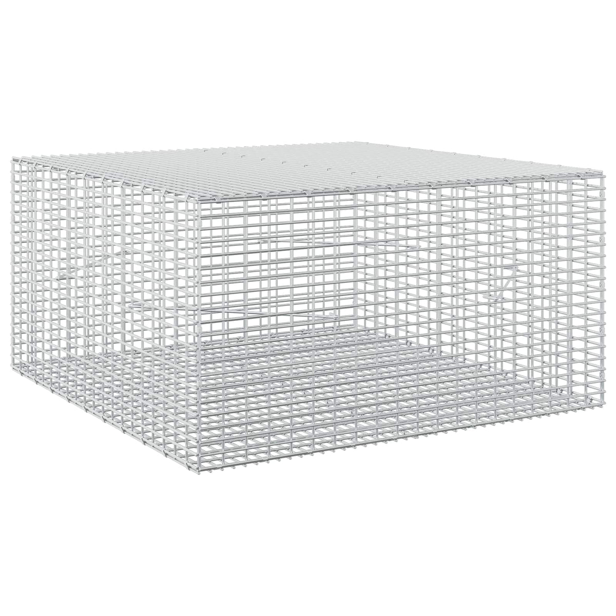 Gabion with 5 mm Wire and 5x2.5 cm Mesh 100x100x50 cm