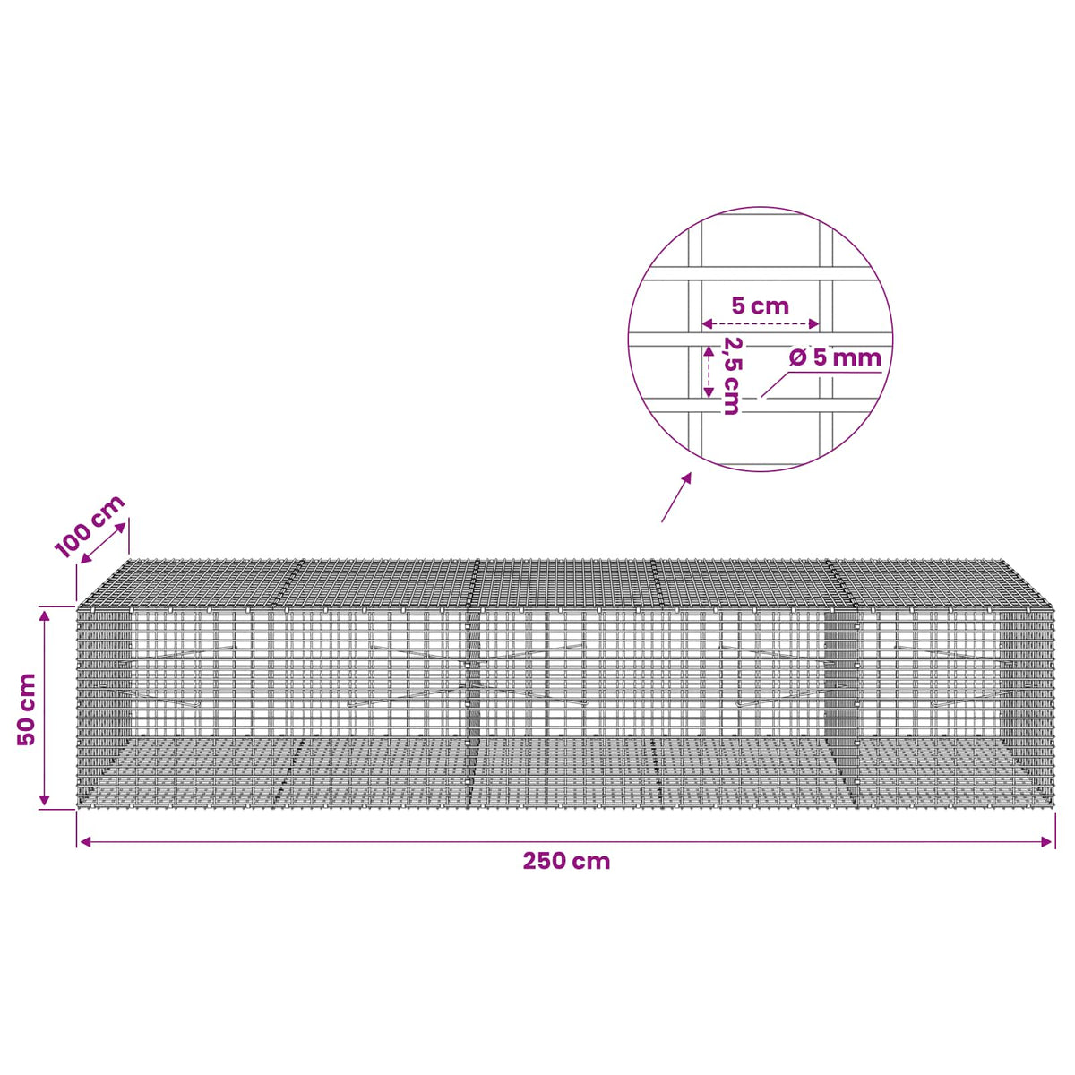 Gabion with 5 mm Wire and 5x2.5 cm Mesh 250x100x50 cm