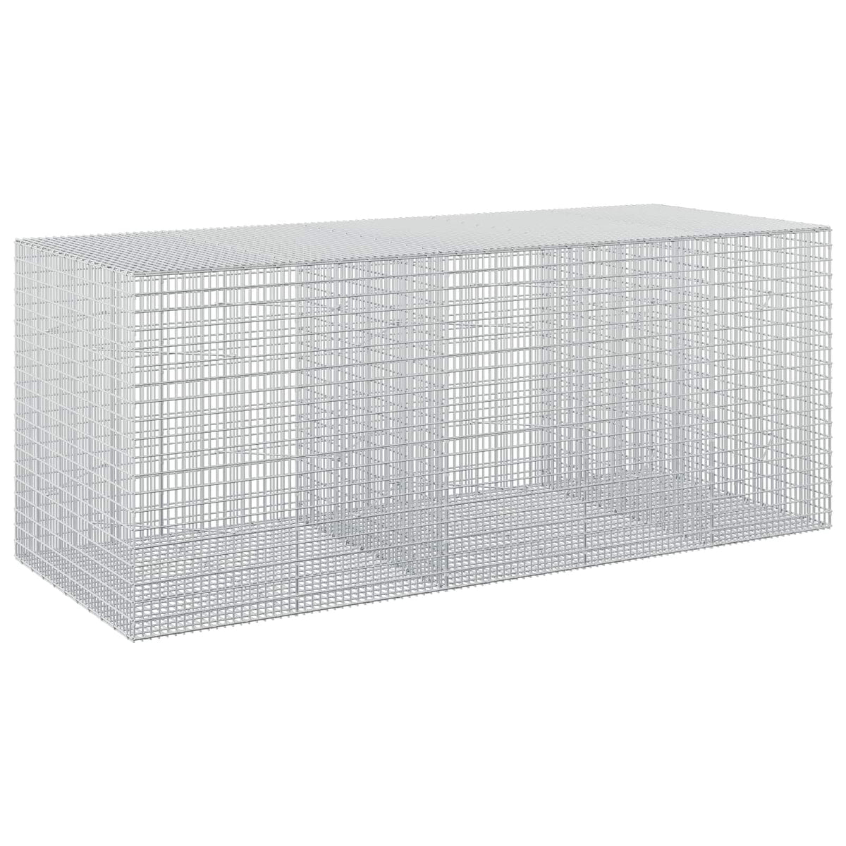 Gabion with 5 mm Wire and 5x2.5 cm Mesh 250x100x100 cm