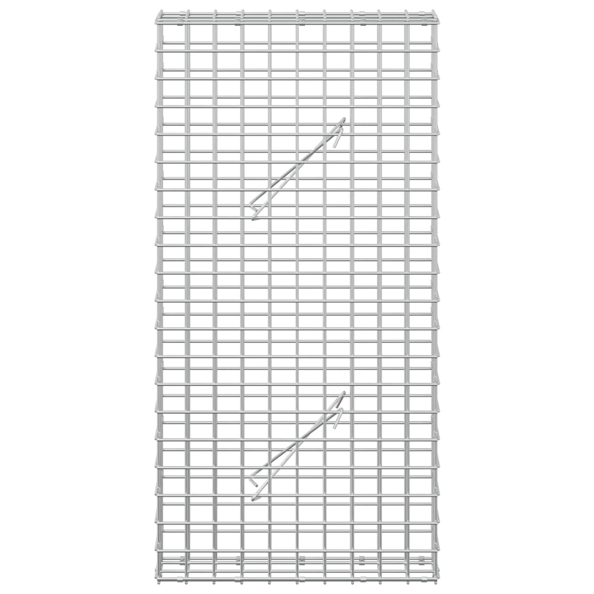 Gabion with 5 mm Wire and 5x5 cm Mesh 50x10x100 cm
