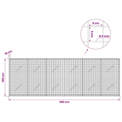 Gabion with 5 mm Wire and 5x5 cm Mesh 300x10x100 cm
