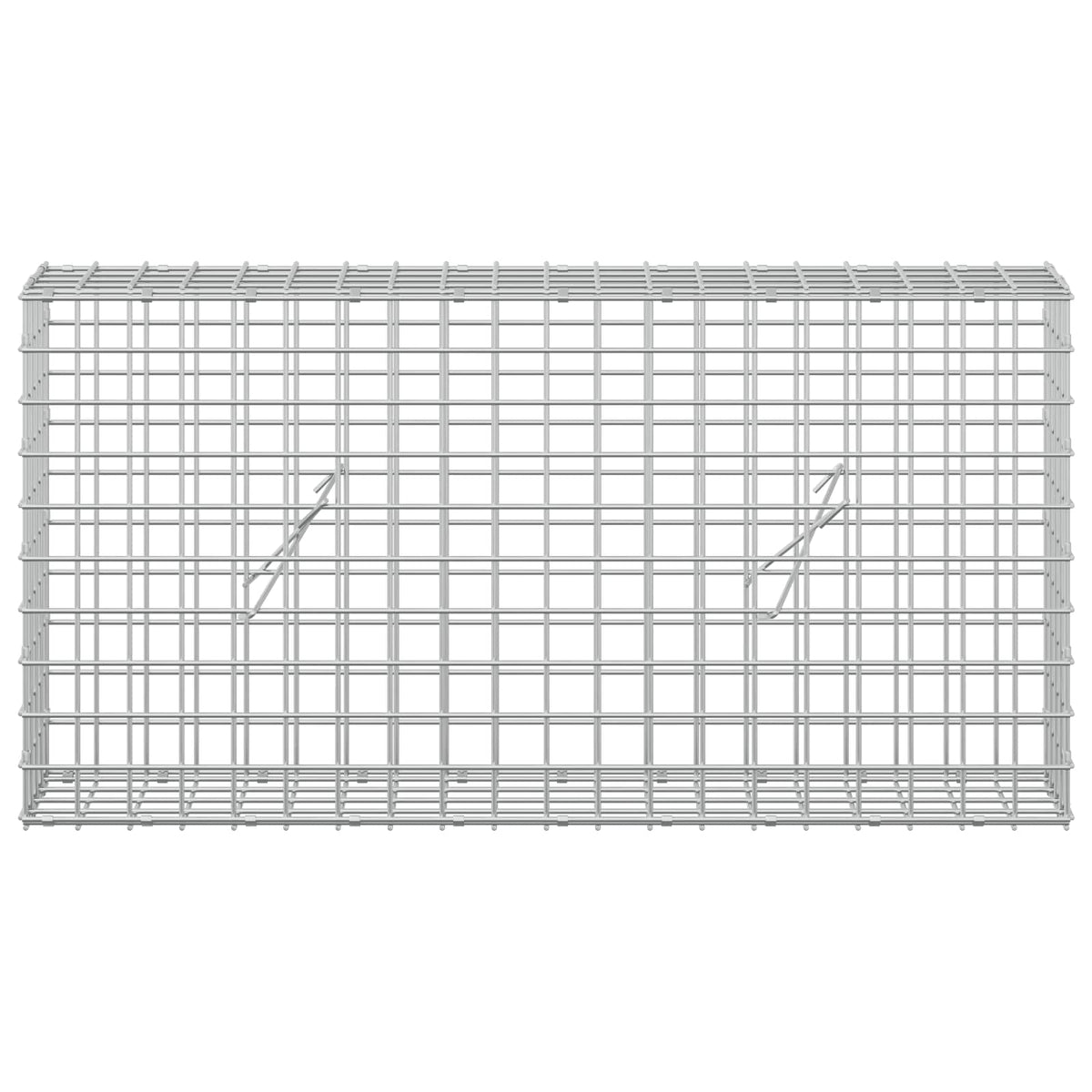 Gabion with 5 mm Wire and 5x5 cm Mesh 100x20x50 cm