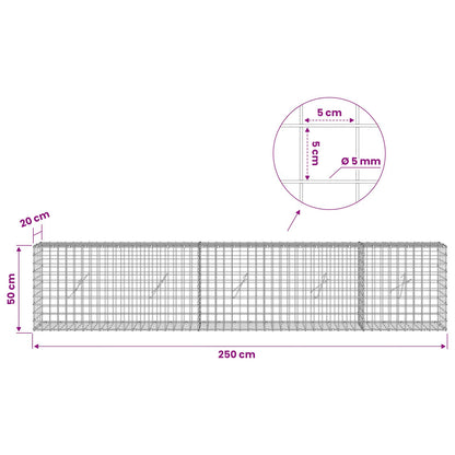 Gabion with 5 mm Wire and 5x5 cm Mesh 250x20x50 cm