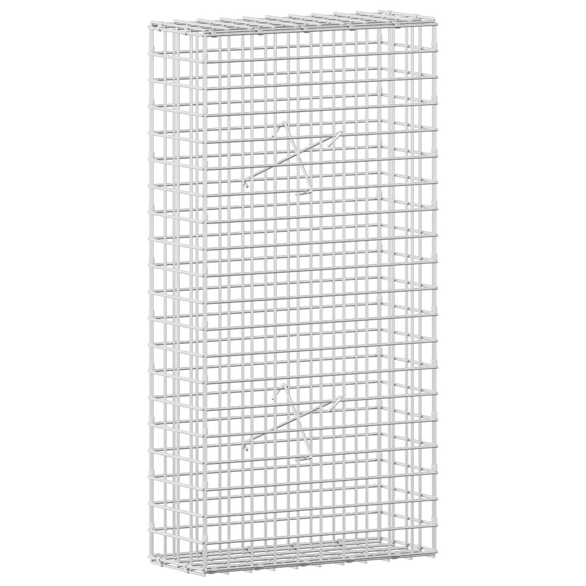Gabion with 5 mm Wire and 5x5 cm Mesh 50x20x100 cm
