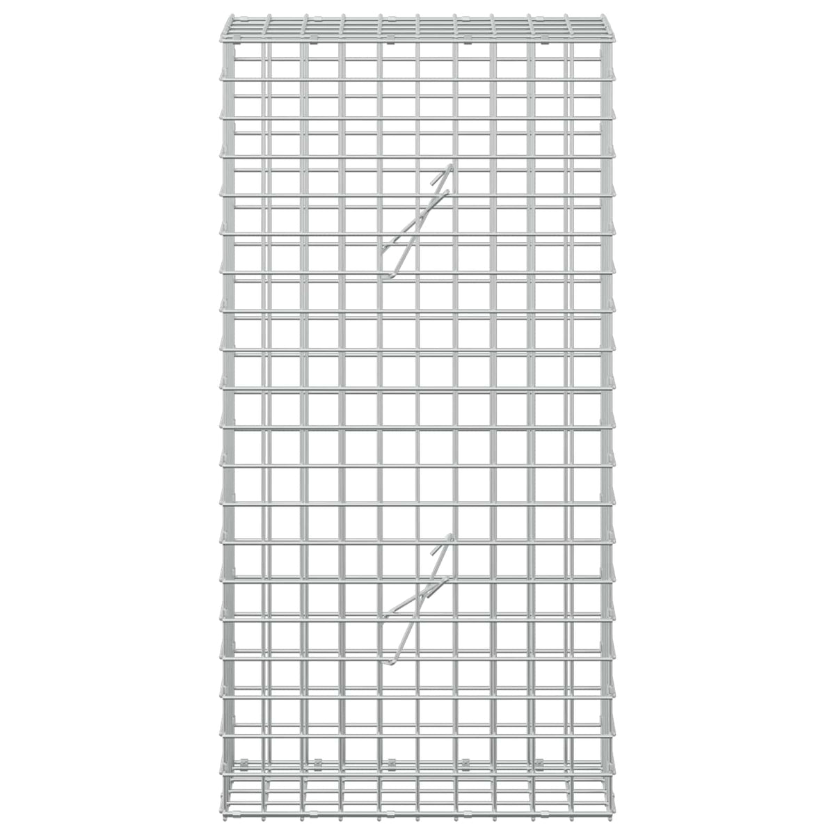 Gabion with 5 mm Wire and 5x5 cm Mesh 50x20x100 cm