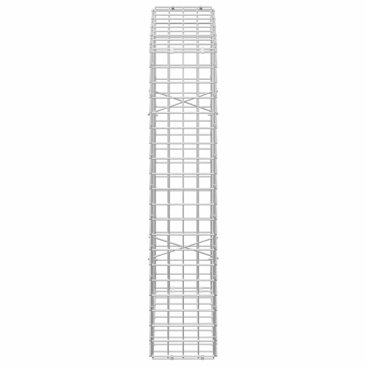 Gabion with 5 mm Wire and 5x5 cm Mesh 50x20x100 cm