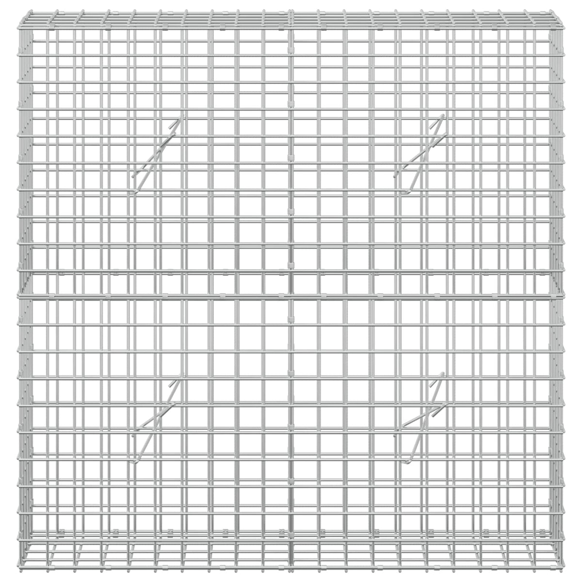 Gabion with 5 mm Wire and 5x5 cm Mesh 100x20x100 cm