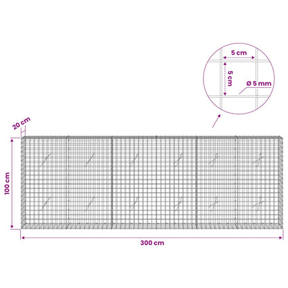 Gabion with 5 mm Wire and 5x5 cm Mesh 300x20x100 cm