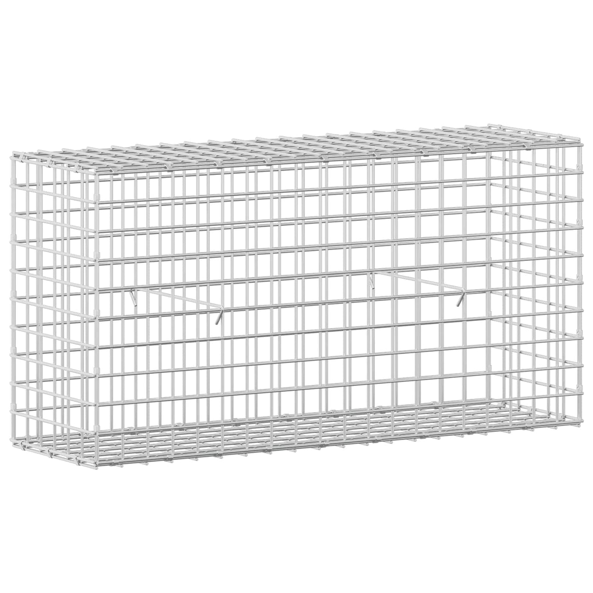 Gabion with 5 mm Wire and 5x5 cm Mesh 100x30x50 cm