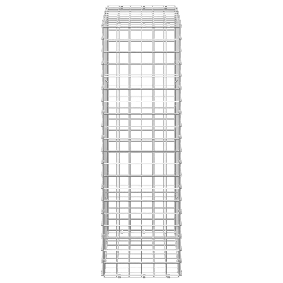 Gabion with 5 mm Wire and 5x5 cm Mesh 50x30x100 cm