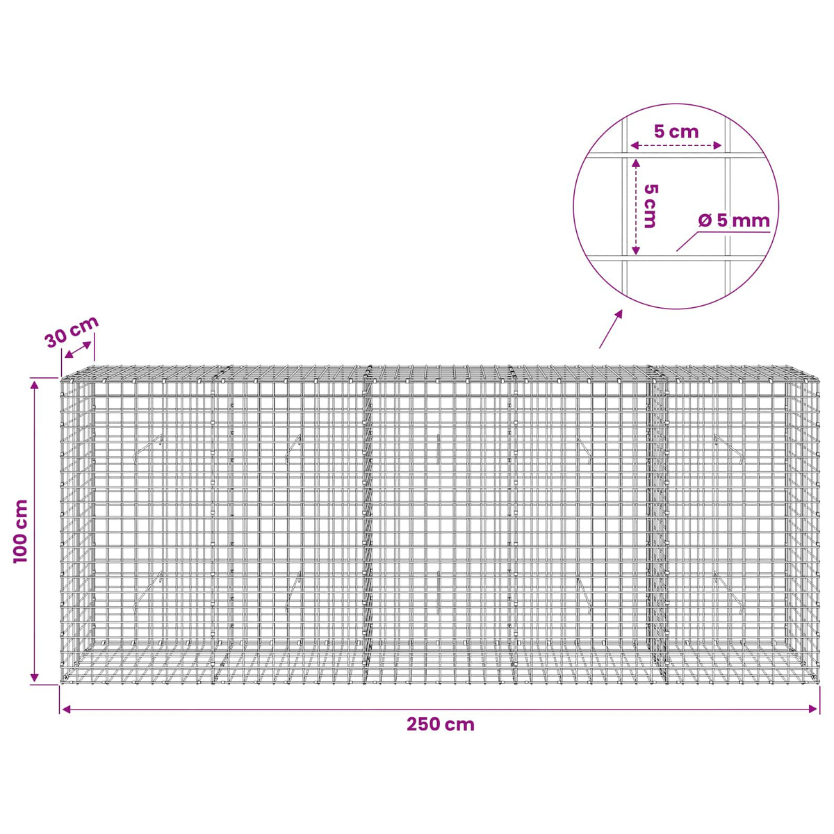 Gabion with 5 mm Wire and 5x5 cm Mesh 250x30x100 cm