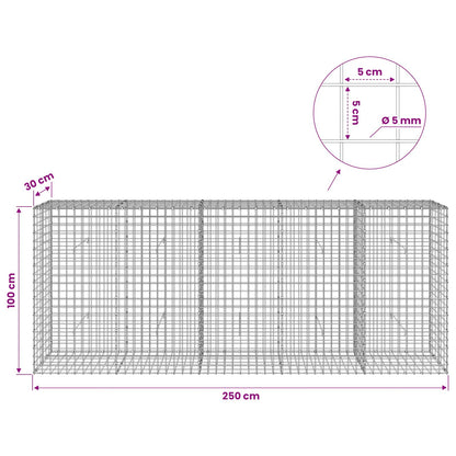 Gabion with 5 mm Wire and 5x5 cm Mesh 250x30x100 cm