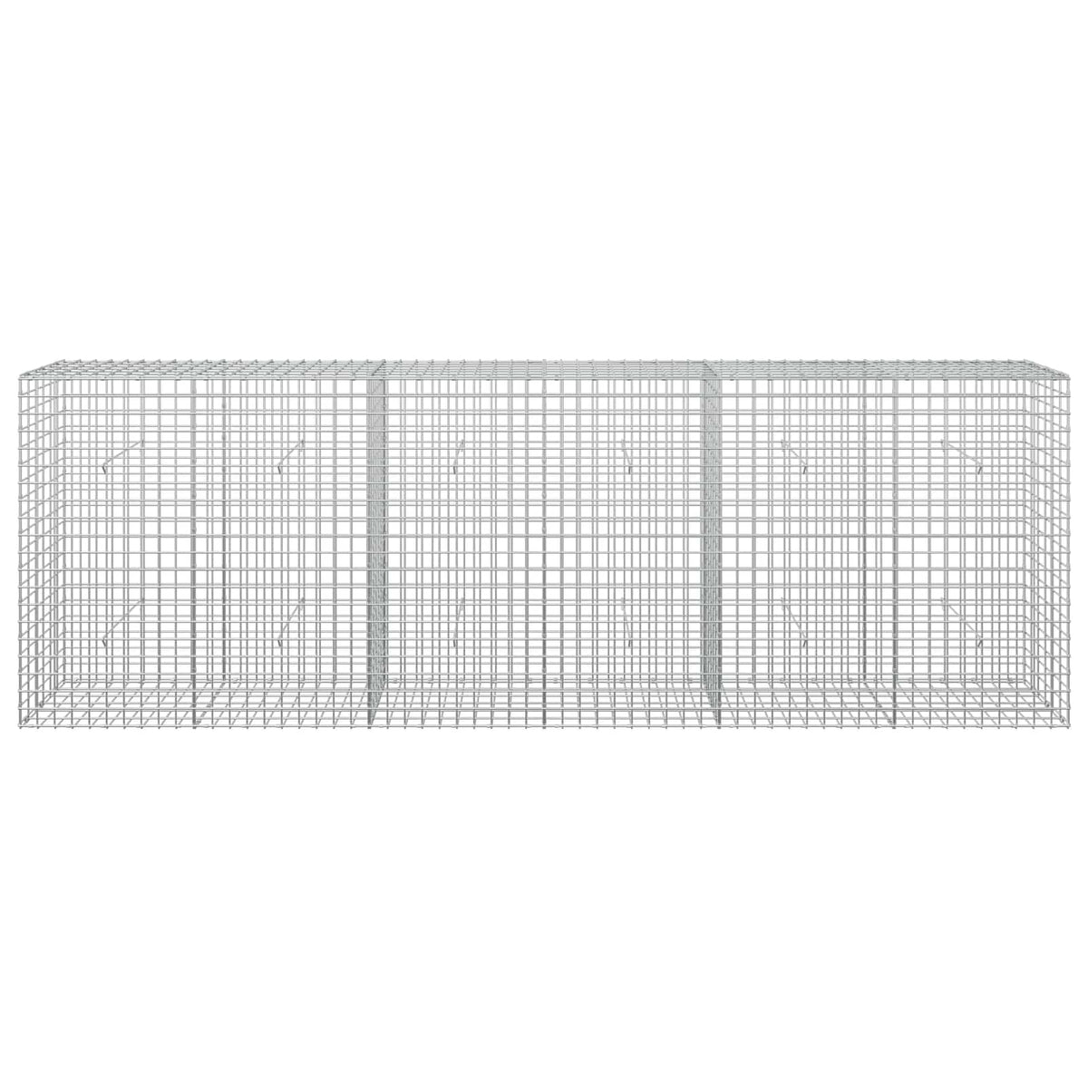 Gabion with 5 mm Wire and 5x5 cm Mesh 300x30x100 cm