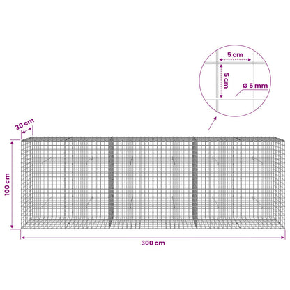 Gabion with 5 mm Wire and 5x5 cm Mesh 300x30x100 cm