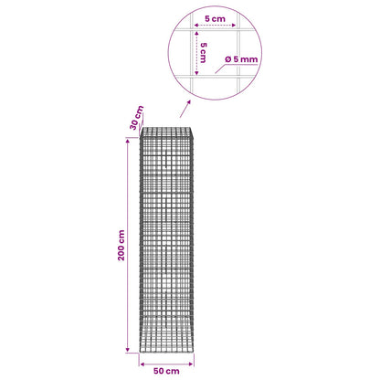 Gabion with 5 mm Wire and 5x5 cm Mesh 50x30x200 cm
