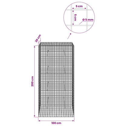 Gabion with 5 mm Wire and 5x5 cm Mesh 100x30x200 cm