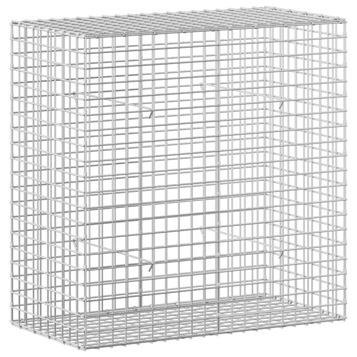 Gabion with 5 mm Wire and 5x5 cm Mesh 100x50x100 cm