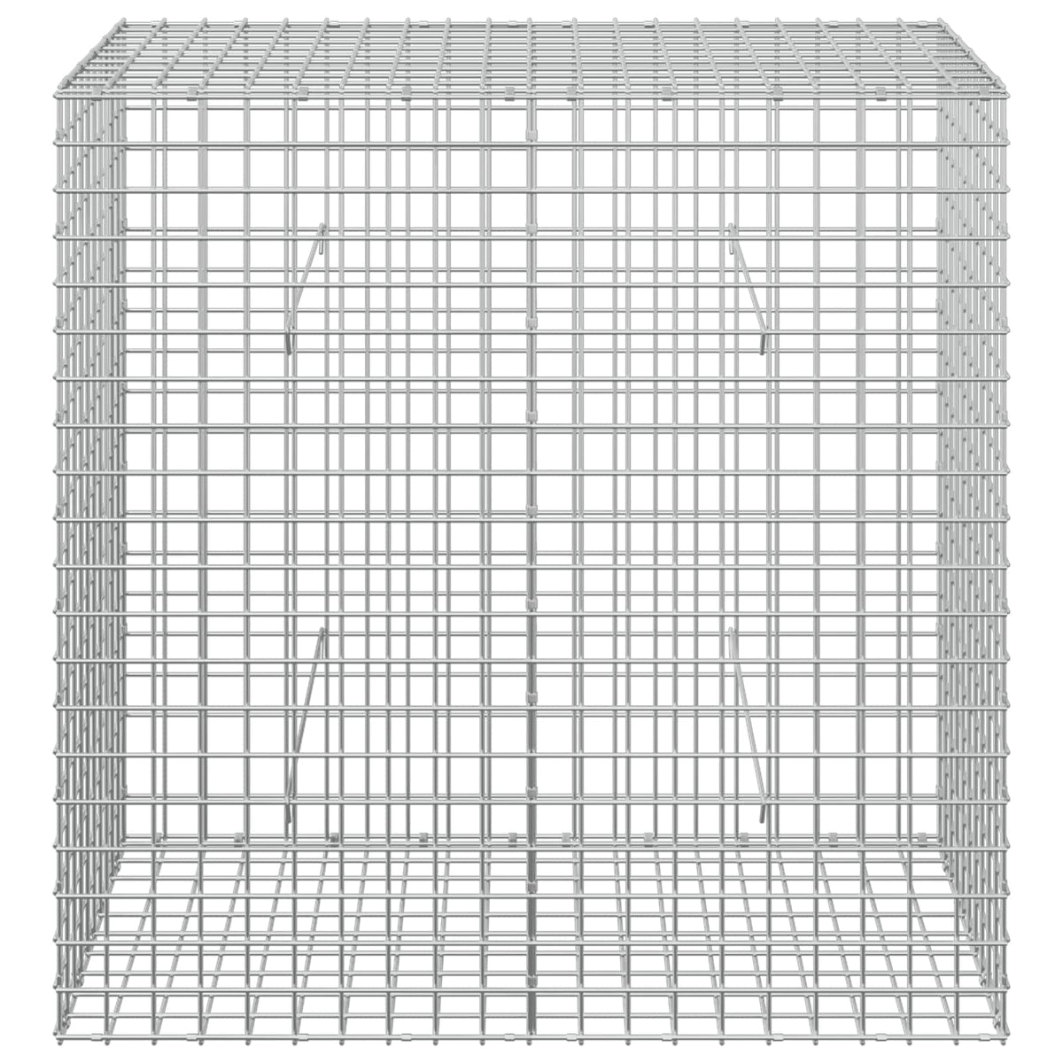 Gabion with 5 mm Wire and 5x5 cm Mesh 100x50x100 cm