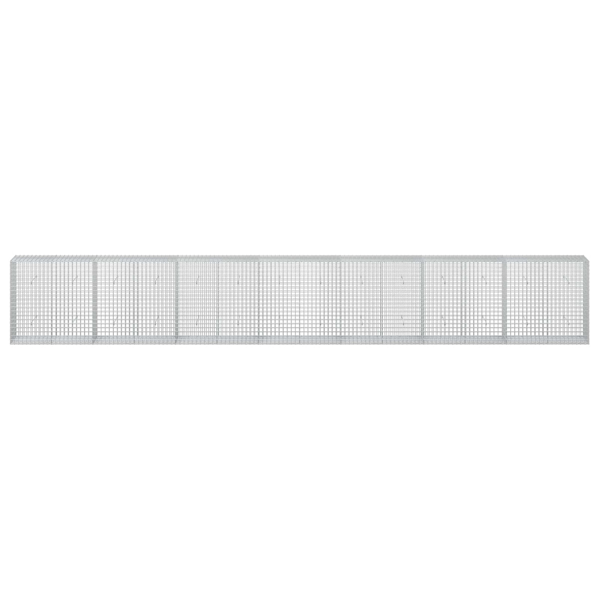 Gabion with 5 mm Wire and 5x5 cm Mesh 700x50x100 cm