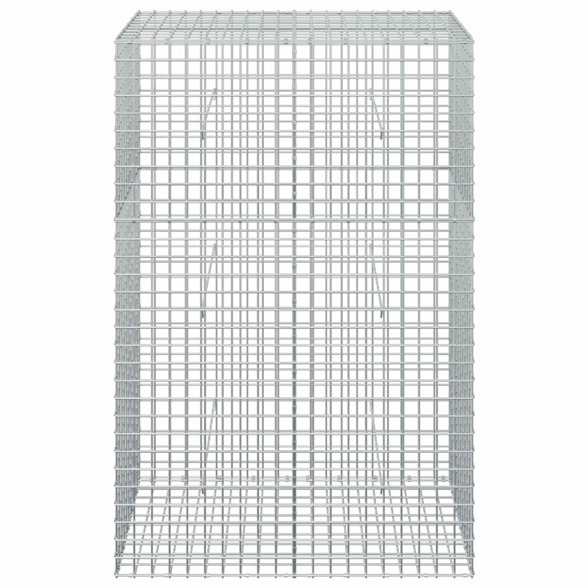 Gabion with 5 mm Wire and 5x5 cm Mesh 100x50x150 cm