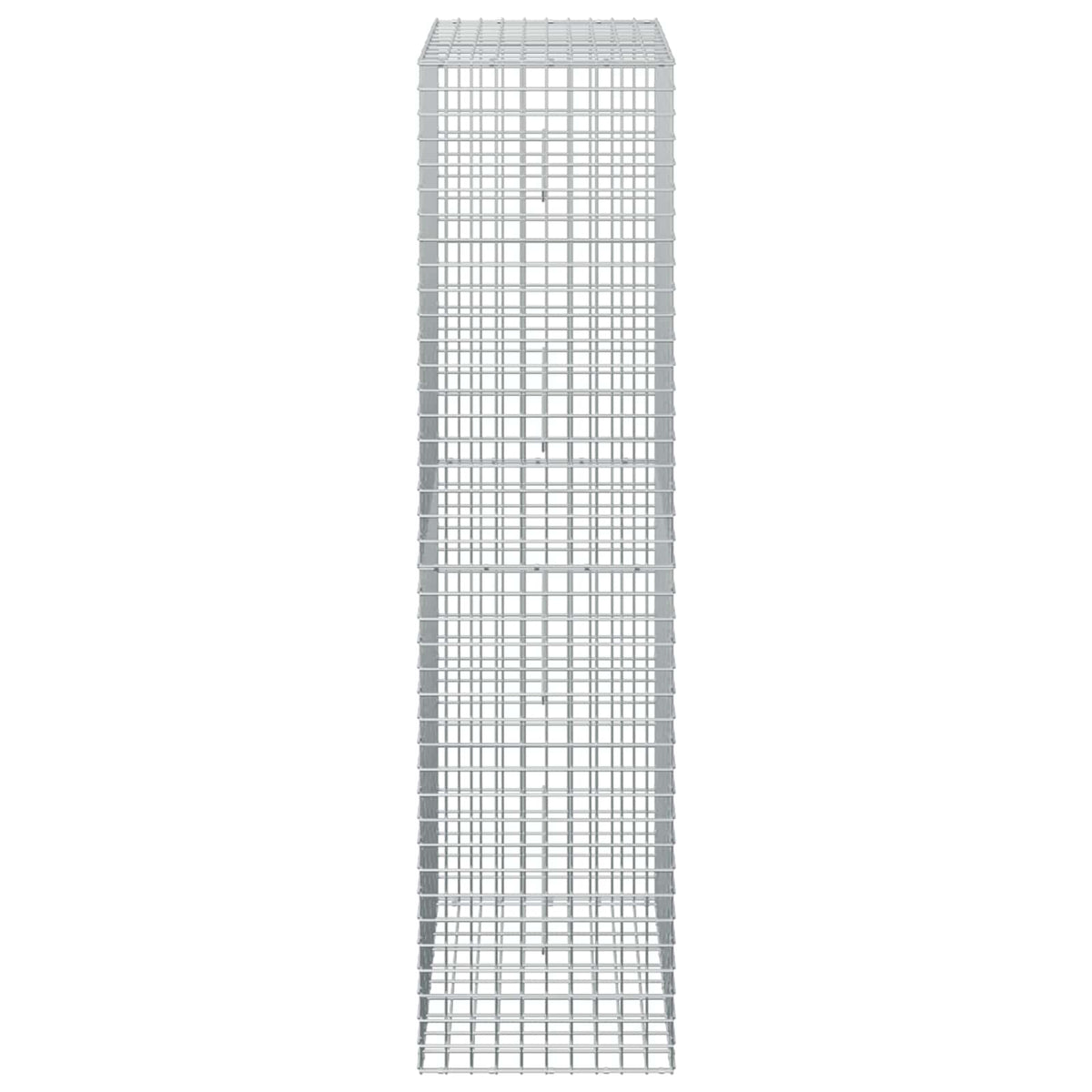 Gabion with 5 mm Wire and 5x5 cm Mesh 50x50x200 cm