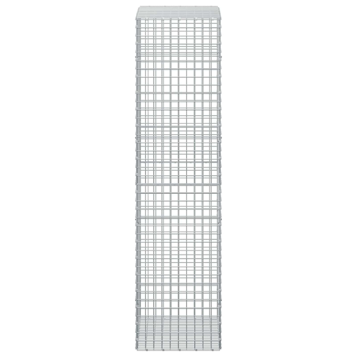 Gabion with 5 mm Wire and 5x5 cm Mesh 100x50x200 cm