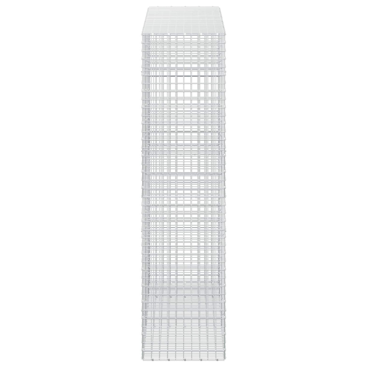 Gabion with 5 mm Wire and 5x5 cm Mesh 250x50x200 cm