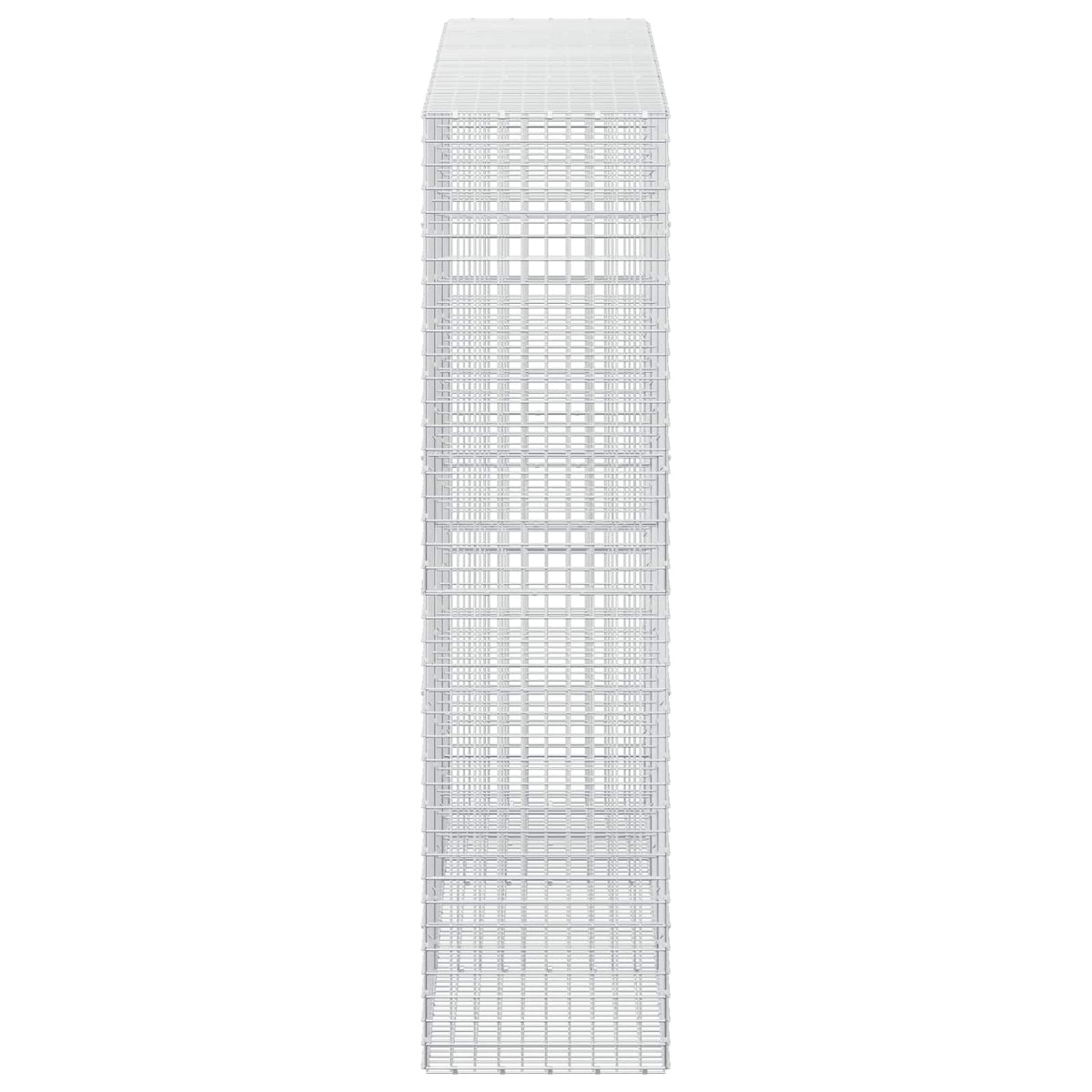 Gabion with 5 mm Wire and 5x5 cm Mesh 300x50x200 cm