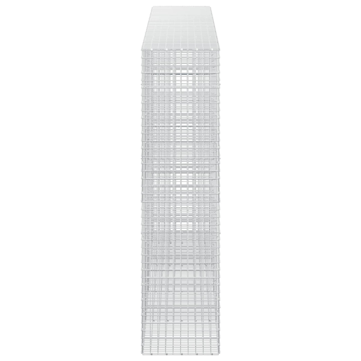 Gabion with 5 mm Wire and 5x5 cm Mesh 450x50x200 cm