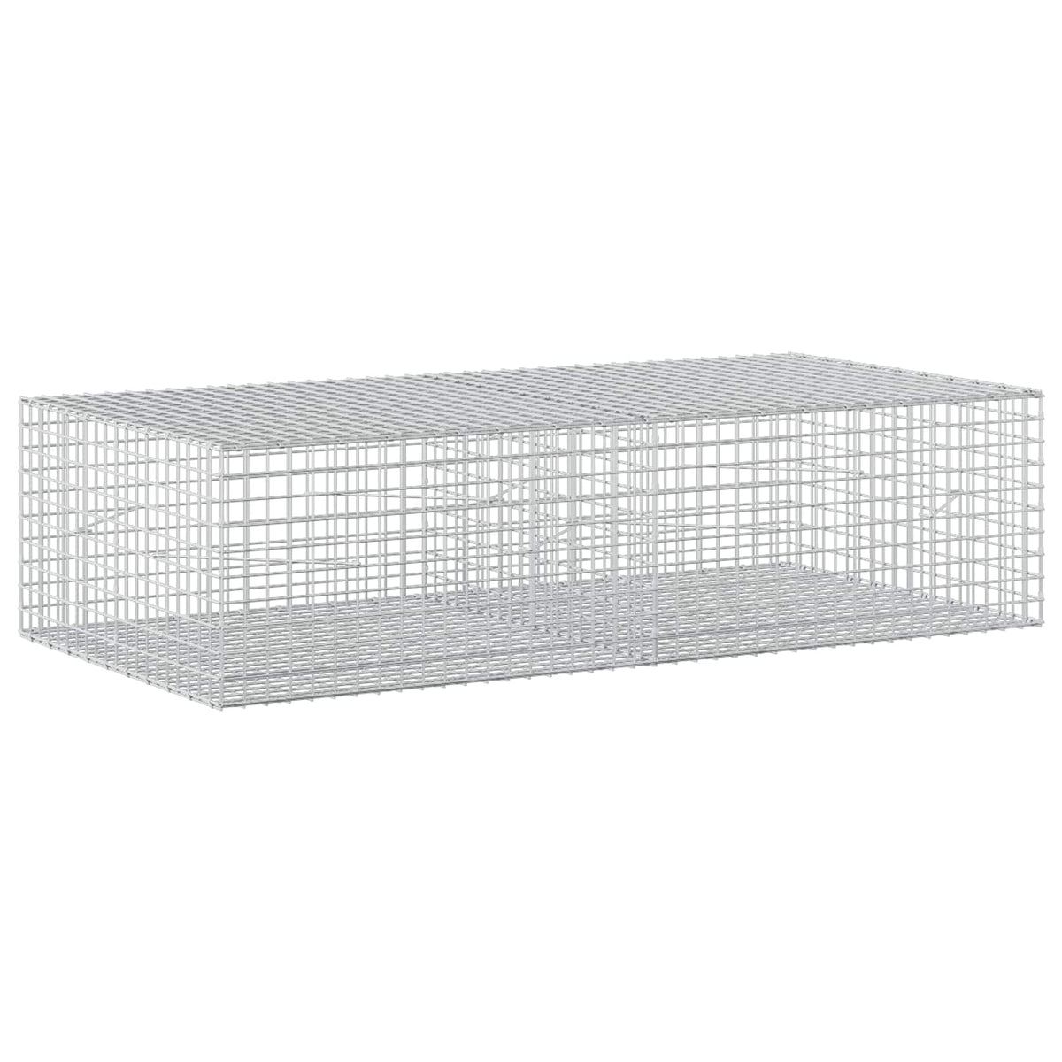 Gabion with 5 mm Wire and 5x5 cm Mesh 200x100x50 cm