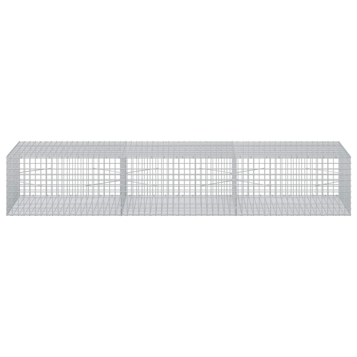 Gabion with 5 mm Wire and 5x5 cm Mesh 300x100x50 cm