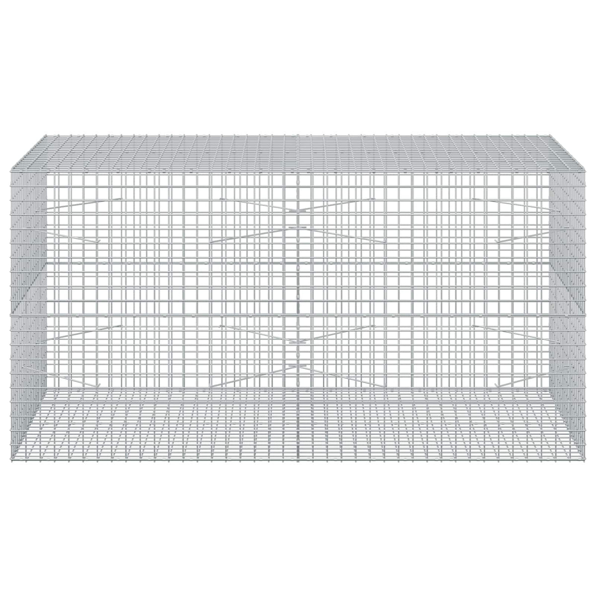 Gabion with 5 mm Wire and 5x5 cm Mesh 200x100x100 cm