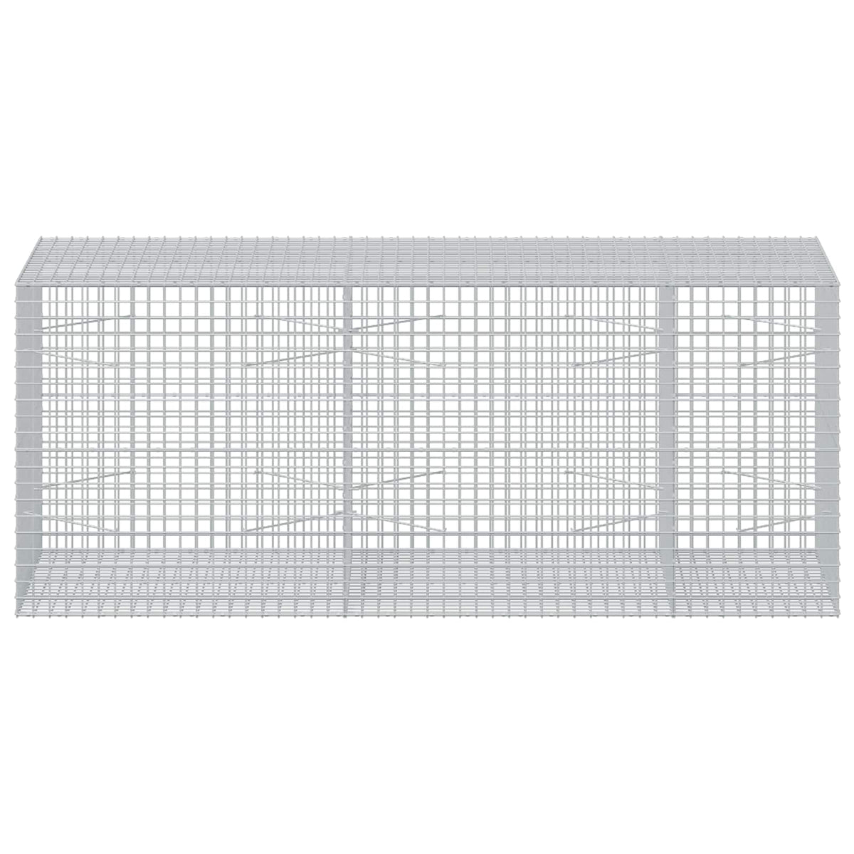 Gabion with 5 mm Wire and 5x5 cm Mesh 250x100x100 cm