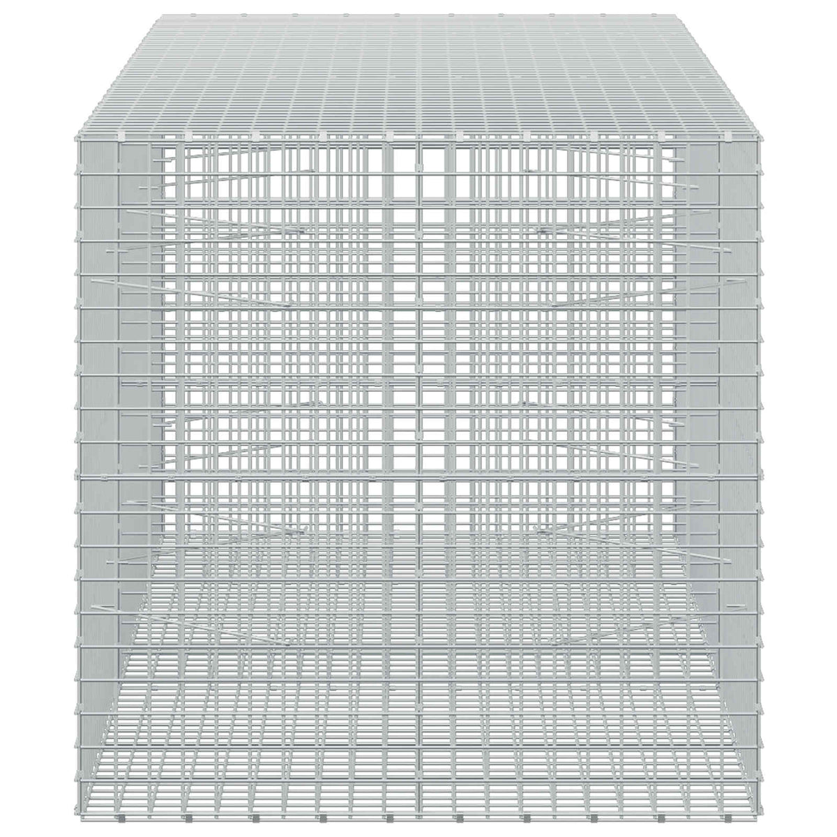 Gabion with 5 mm Wire and 5x5 cm Mesh 250x100x100 cm